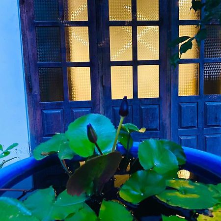 Sachi'S Place 탕갈레 외부 사진